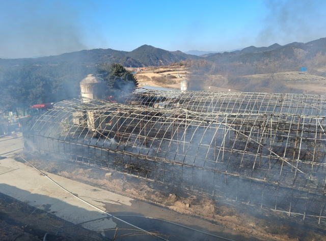 2일 오전 11시쯤 예천의 한 양계장에서 불이 났다. 이 불로 닭 11만 마리가 폐사했다. 사진은 불에 탄 양계장 모습. 경북소방본부 제공