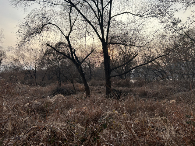 김혜지 국민의힘 서울특별시의원