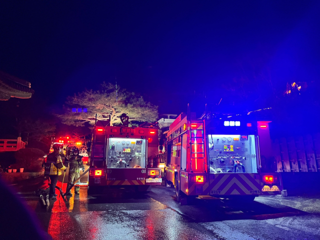 대구 동구 도림사 인근 산불…땅 70평 소실돼