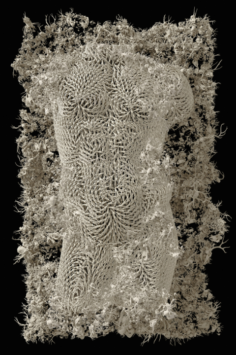 대구문화예술회관, 소장품 125점 수증…공공 컬렉션 강화