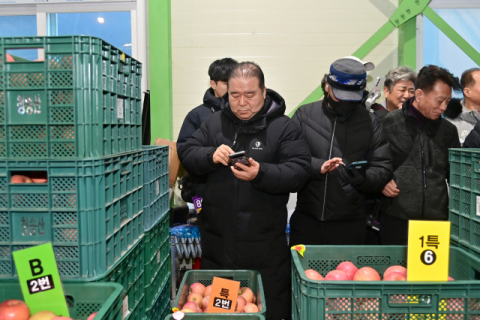힘찬 타종과 함께 울린 새해 첫 경매…청송사과 값 '산뜻한 출발'