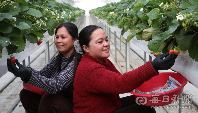 국내 체류 외국인 60%, 수도권…방문취업 비자는 81%