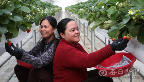 국내 체류 외국인 60%, 수도권 집중…방문취업 비자는 10명 중 8명