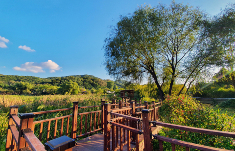 [팔도핫플레이스] 광명동굴 '광산의 변신…문화예술탐험'