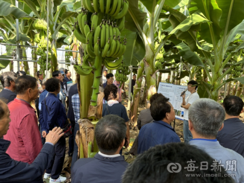 경북 포항시 61억원 투입해 '농촌지도·기술보급' 시범사업 추진