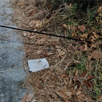 사람에게 살상력 있는 양궁 화살 쏜 2명…경찰, 추적 중