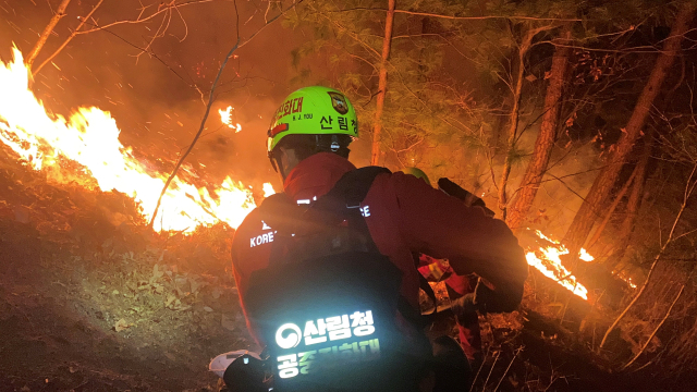 산불진화에 총력을 기울이고 있는 산림청 공중진화대원. 2026.1.9. 산림청 제공