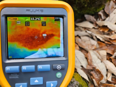 의성 빙계계곡서 '온혈지대' 첫 확인…빙혈과 공존하는 복합 지형 주목