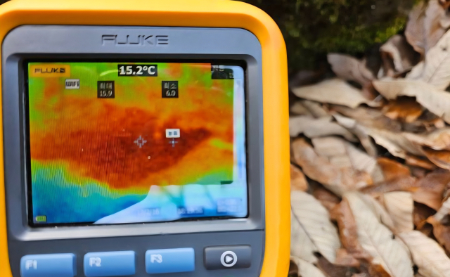 의성 빙계계곡서 한겨울에도 18℃ '온혈지대' 첫 확인