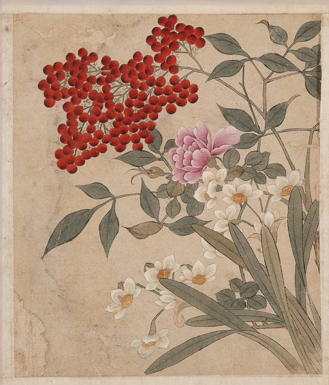 남천 열매가 풍성한 16세기 후반 「전신부인필화조도」(傳申夫人筆花鳥圖, 비단에 채색, 세로 22.7cm, 가로 19.1cm). 국립중앙박묵관 제공