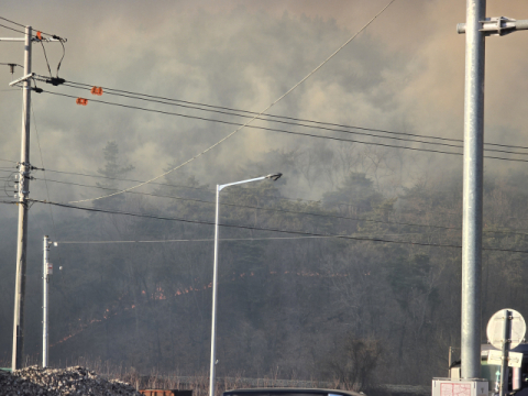 강풍 타고 번지는 산불… 의성읍 일대 주민 긴급 대피령