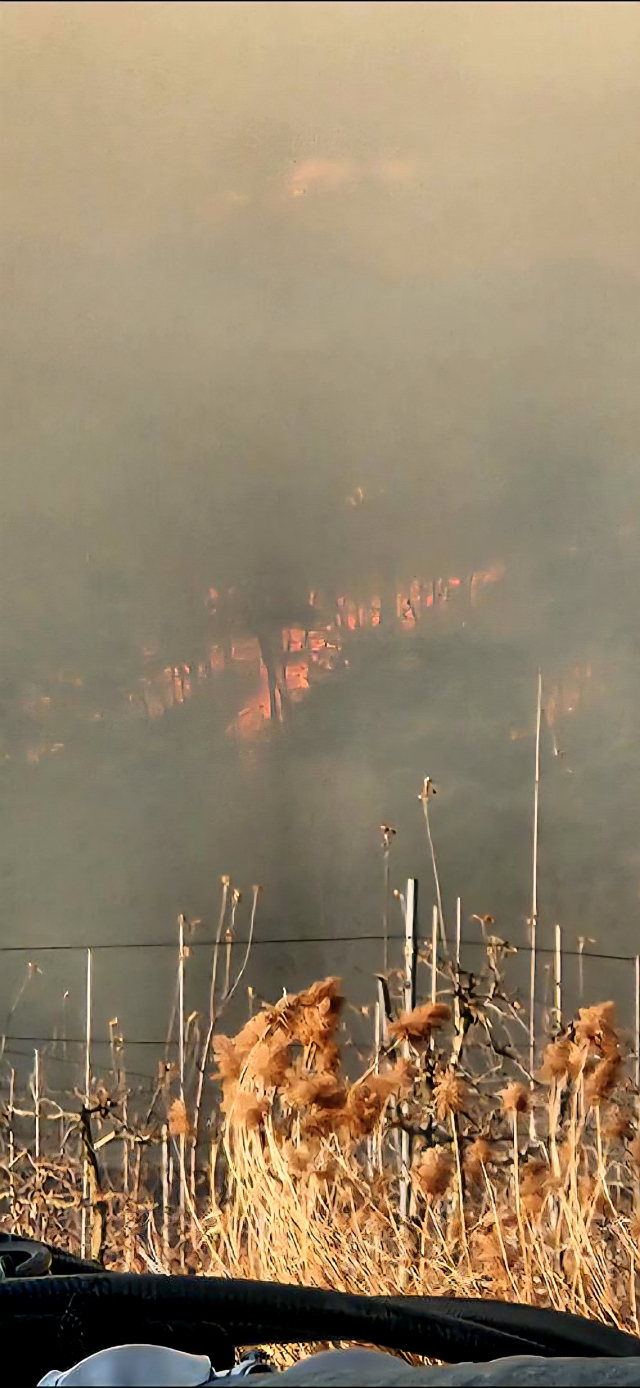 10일 오후 의성군 의성읍에서 발생한 산불로 많은 연기가 발생하고 있다. 김영진 기자