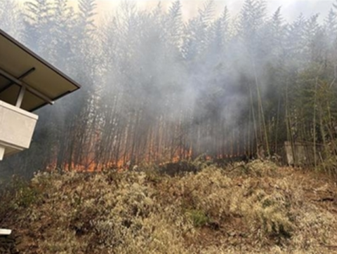 김천시 구성면 산불로 주택과 대나무밭 등 불타