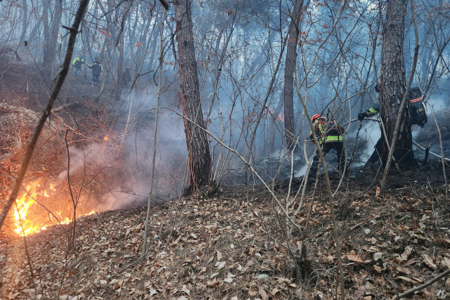 의성 산불, 주불 진화… 눈 내리며 확산세 둔화, 주민 3백여 명 대피