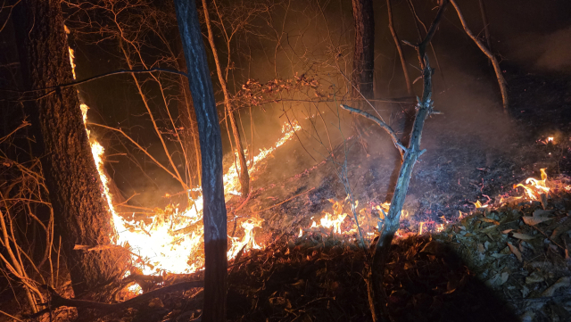 의성 산불 주불 진화 완료… 대응 1단계로 하향, 잔불 정리 중