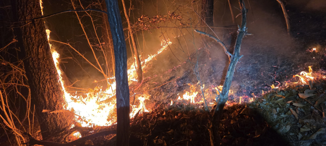 '의성 산불' 주불 진화 완료… 대응 1단계 하향, 잔불 정리 중