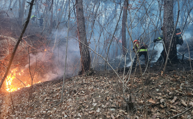'의성 산불' 눈 내리며 확산세 둔화…주민 3백여 명 대피