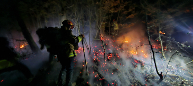 의성 산불, 밤새 진화 작업…대원들 산에 올라 직접 대응