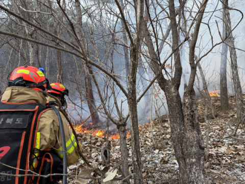 의성 산불, 이틀째 진화 총력… 오늘 헬기 19대 투입 '완진 목표'