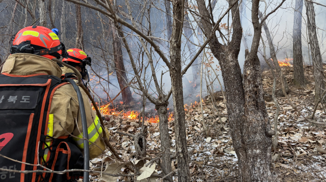 의성 산불 진화 이틀째…헬기 19대 투입 '완진 목표'