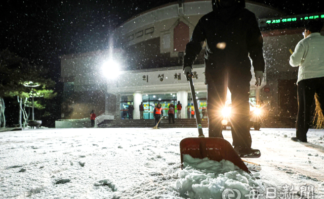 작년 대형 확산-올해 조기 진압…'기상·선제 방어' 차이