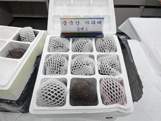 중국산 농산물·모묙 1150t 밀반입 적발…역대 최대 규모