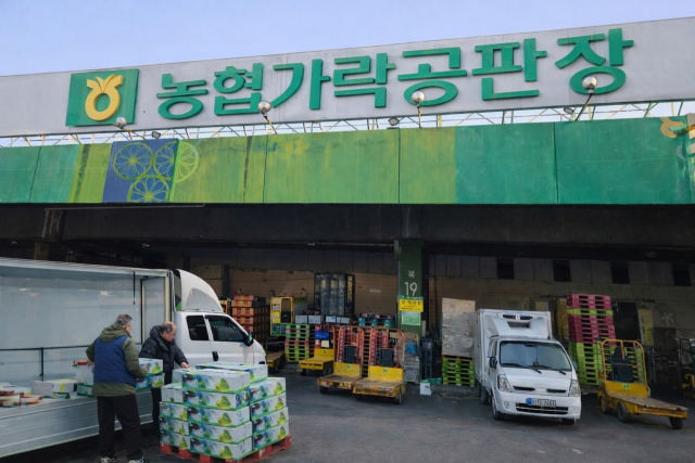 달성군 대표 특산물 화원 미나리, 서울 가락시장에 첫 선