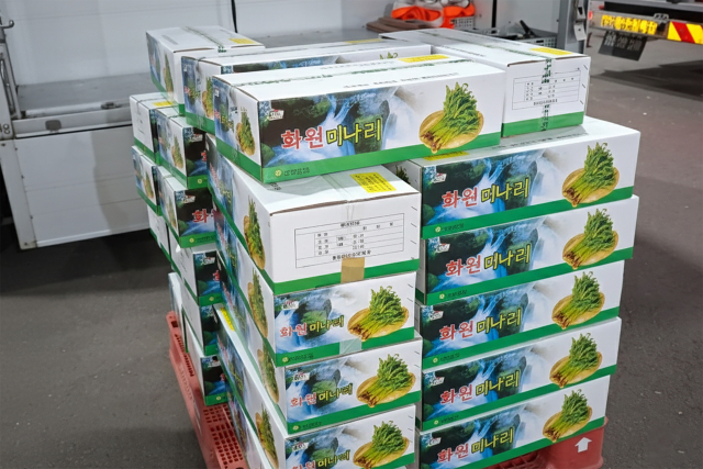 대구 달성군 대표 특산물인 화원 미나리.