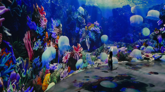 이나트 실감 영상관. 모나용평 리조트 제공