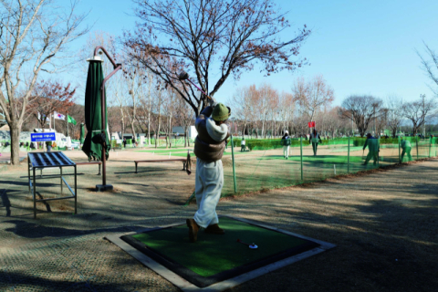 [스포츠&라이프] 한파도 녹이는 파크골프 열풍, 왜?