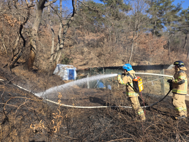 13일 오후 2시 30분쯤 대구시 군위군 효령면 한 주택 뒷편 화재 현장에서 소방대원들이 불길이 번지는 것을 막고자 진화 작업을 벌이고 있다. 대구소방안전본부 제공.