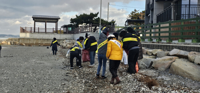 이비티에스 협동조합 경산센터(센터장 권기혁) 소속 경산중앙지국과 칠곡지국 조합원 35명이 지난 9일 충남 태안 바닷가에서 쓰레기 줍기 봉사활동을 하고 있다.