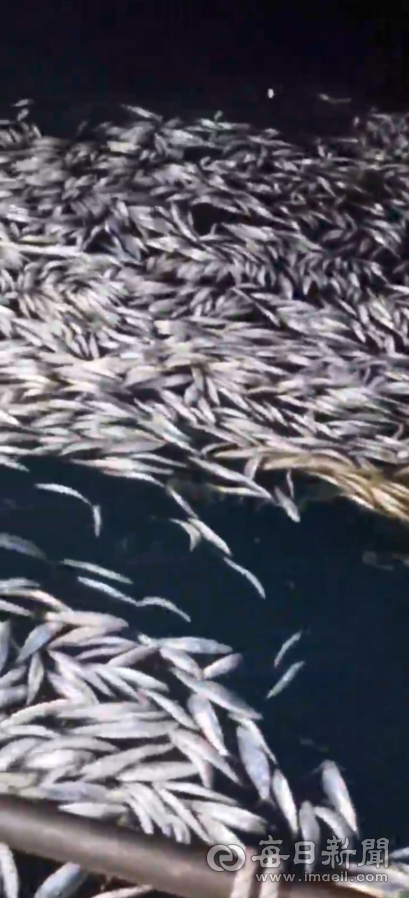 동해안 연·근해 조업권 분리…남해안 반대에 1년 유예?