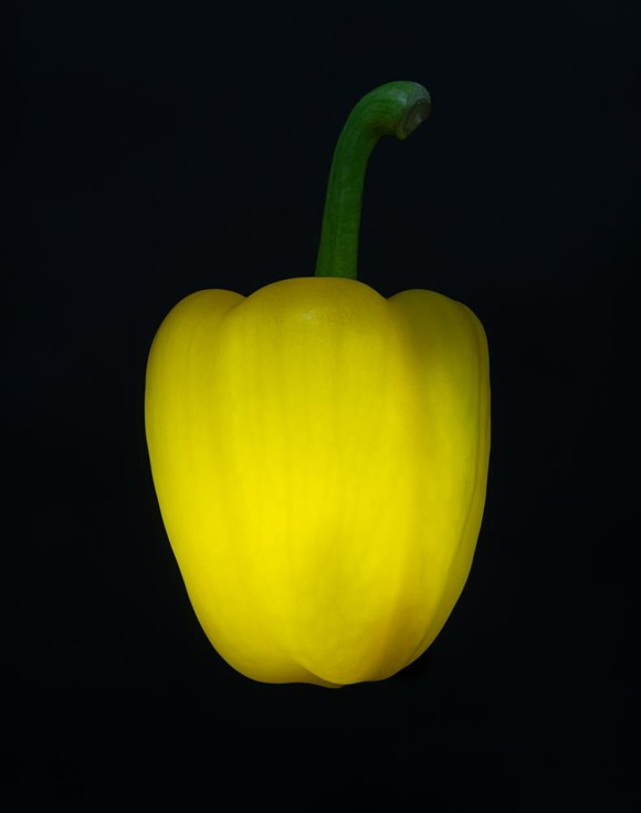 기증 작품 중 하나인 파프리카 . 대구도서관 제공