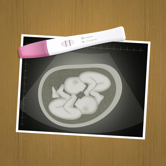 한국보건사회연구원 제공