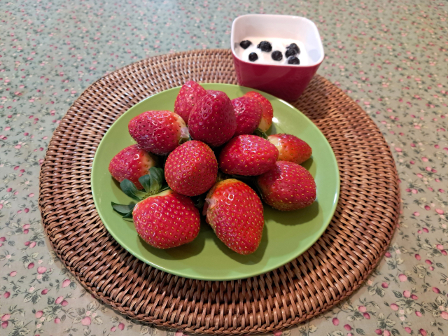 노정희 대구한의대 푸드케어약선학과 외래교수