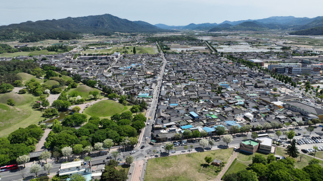 경주시가 신라왕경 핵심 유적 복원 정비사업의 속도를 내고 있다. 사진은 대릉원 전경. 경주시 제공