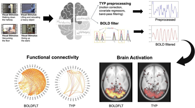 BOLD-filter 적용 전·후 기능적 연결성 및 뇌 활성화 분석결과. 케이메디허브 제공