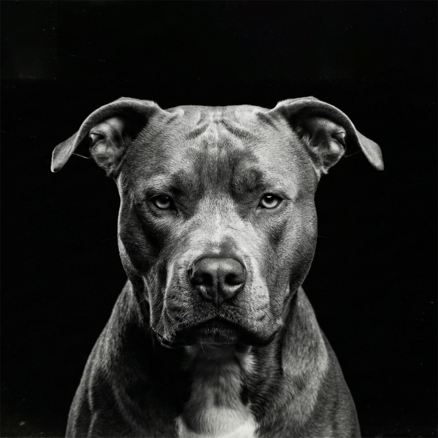 - 광고인은 늘 브랜드가 가진 최고의 가치를 찾아 떠난다. -