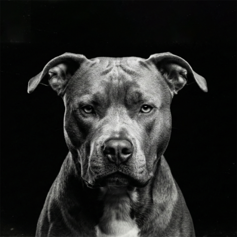 [김종섭의 광고 이야기] 대단한 이력을 가진 어느 변호사의 광고