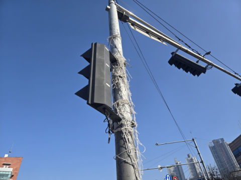대구서 1년간 47만개 불법현수막 내걸려…단속반과 동행 해보니, 도심 곳곳 불법현수막 나부껴