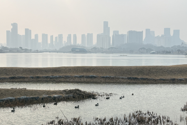 미세먼지와 황사 유입으로 대전, 세종, 충남 지역에 