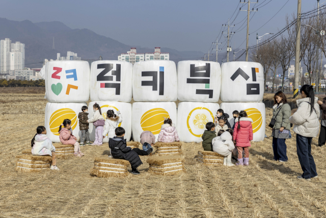 논에 설치된 럭키북삼 조형물.