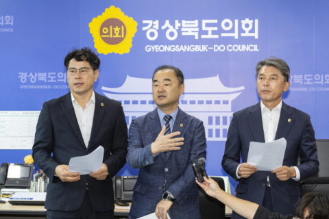 정부 '20조 지원' 카드에 흔들리는 반대 기류…경북도의회 통합 시선 변화