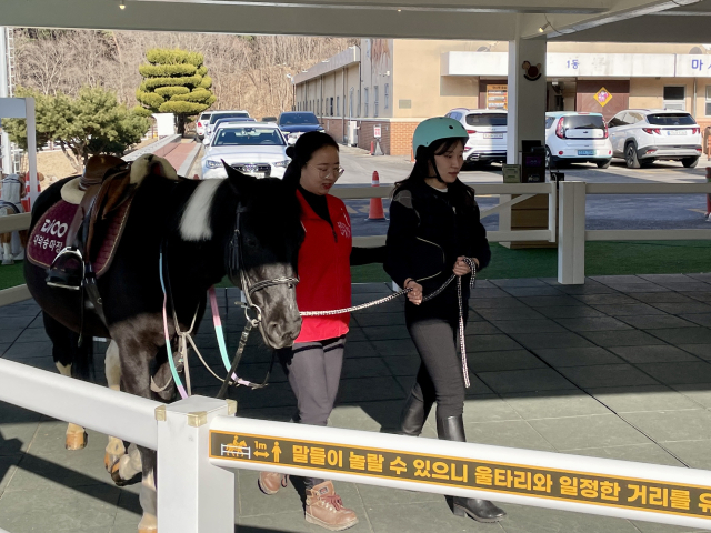 말에 타기 전, 함께 천천히 걸어보는 이연정 기자(오른쪽).