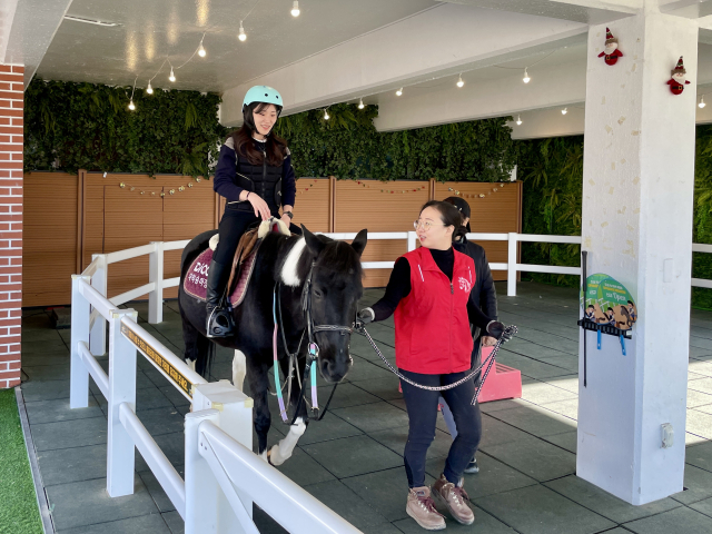 높이 150cm 가량의 포니 임에도 막상 올라타니 무서웠다고 한다.