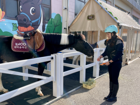 [주말&] 말의 해, 말 타봤단 말이야(?)
