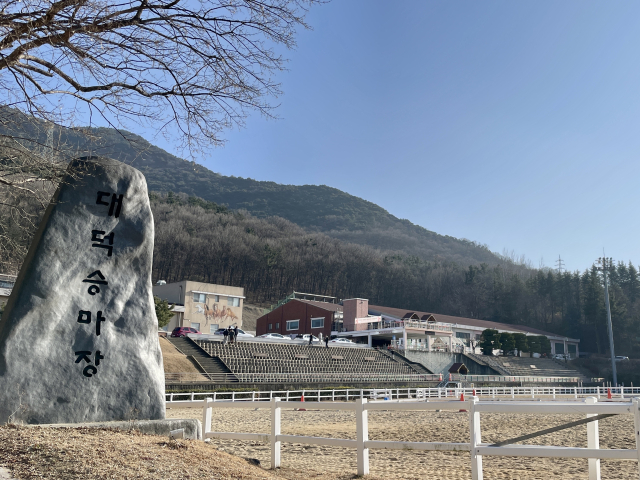 '병오년' 말의 해, 대덕승마장서 승마체험 해봤단 말이야
