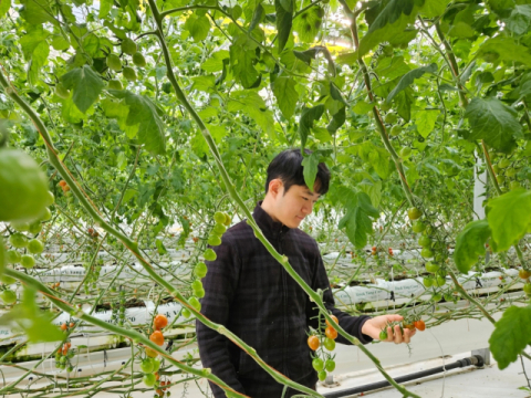 [청년! 농업·농촌에서 희망을 찾다] (3)스마트팜에서 스마트한 농업을 일구다
