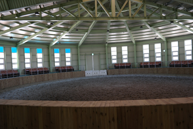 [주말&] 승마 체험 할 수 있는 대구 근교 승마장은